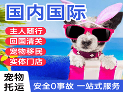 腾鳌航空运输国际宠物托运 【国